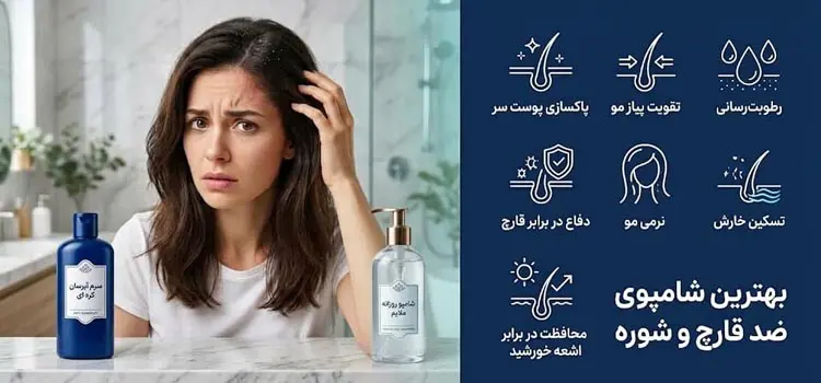 بهترین شامپوی ضد قارچ و شوره 653456312
